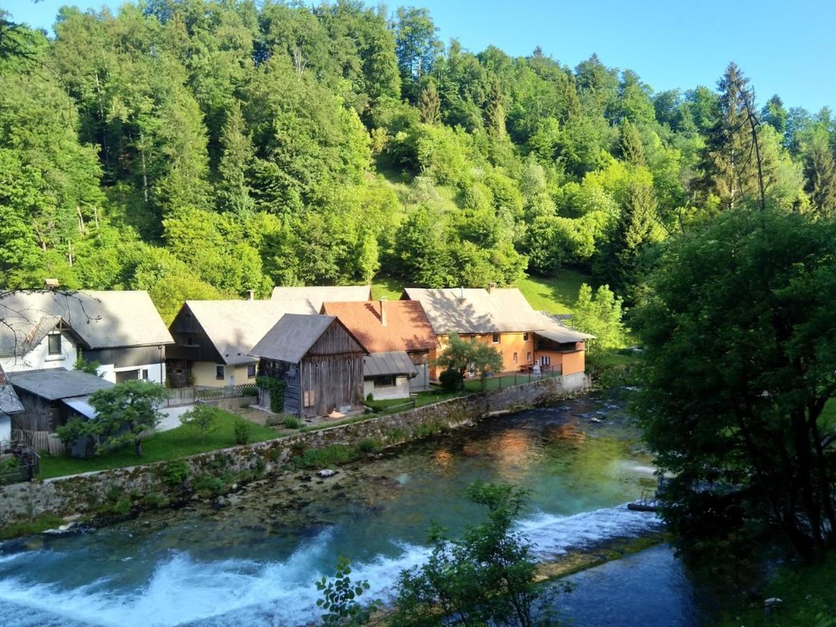 House By The River Villa Zgornje Gorje Dış mekan fotoğraf